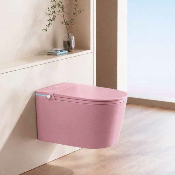 GR 1860B Femıcare Duvara Monte Smart Klozet Pınk