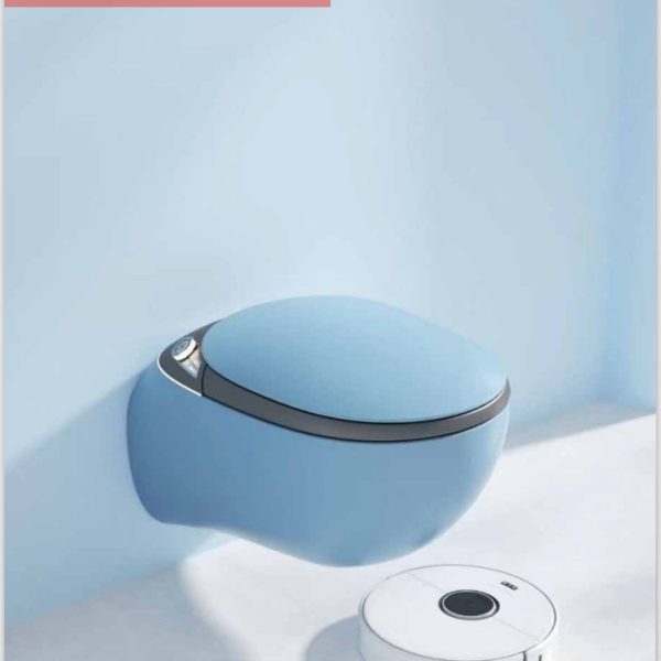 GR 1851 Duvara Monte Smart Klozet Blue